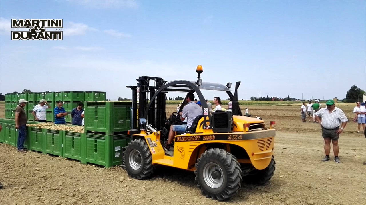 Martini & Duranti - Elephant 2500 4x4 Geländestapler DEMO