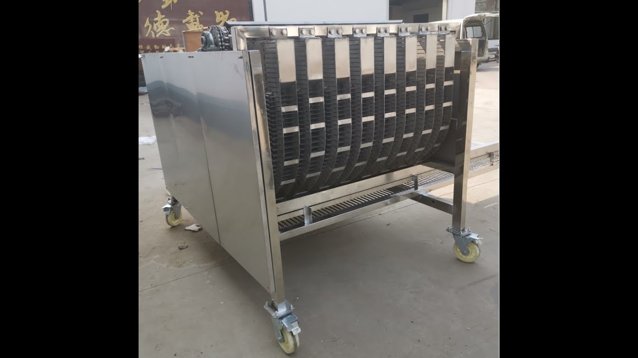 Green walnut peeling machine/walnut green skin peeler