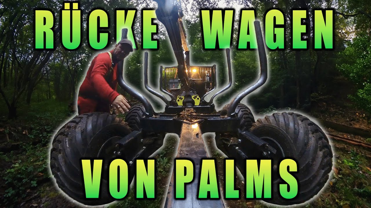 Mein Rückewagen von Palms [Vorstellung]