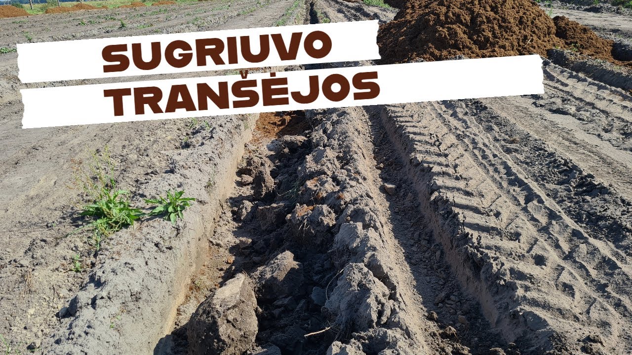 Ūkis #7 Padaryta klaida. Tranšėjos sugriuvo