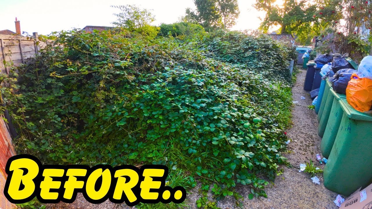Would You Tackle This GARDEN?! Rats, Rubbish & Overflowing Brambles..
