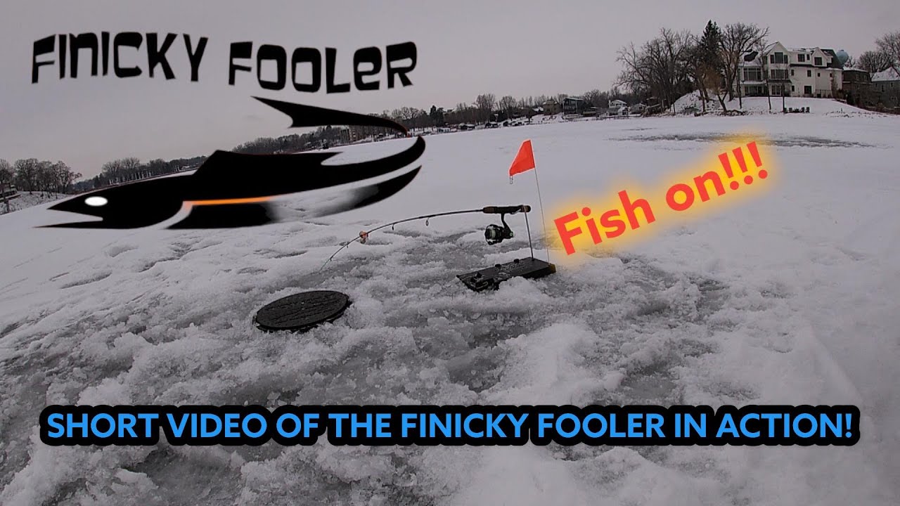 Finicky Fooler in Action! | First Time Use and Caught 4 Today | Wild Urban Adventures | Pike Action