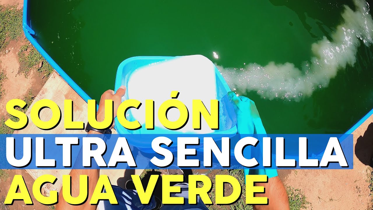 ULTRA SENCILLA FORMA DE TRATAR EL AGUA VERDE