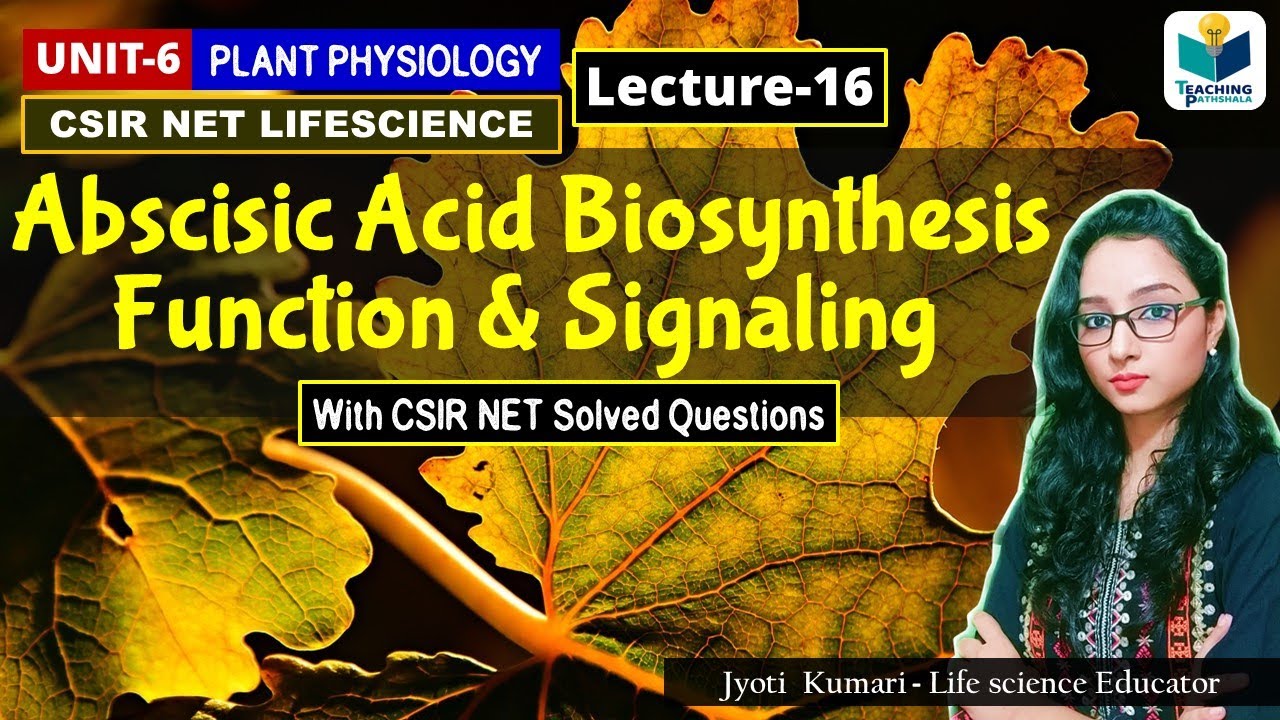 ABSCISIC ACID BIOSYNTHESIS |ABA SIGNALING AND FUNCTION| PHYTOHORMONE (PART-16)|CSIR NET|