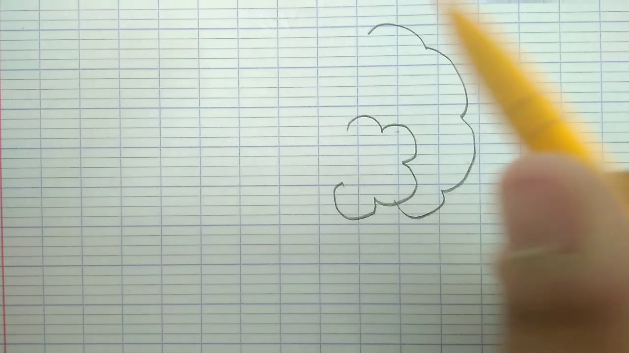 Comment dessiner un brocolis ?