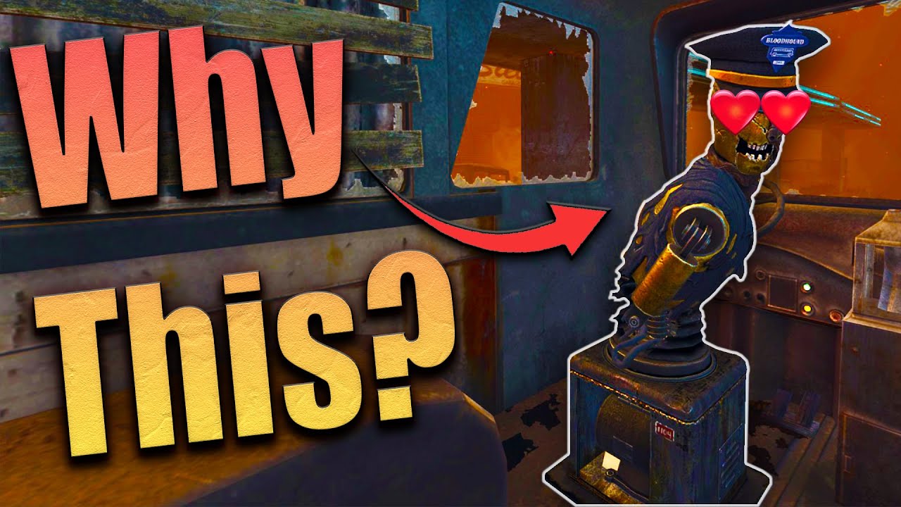 WHY Do People Love Tranzit?