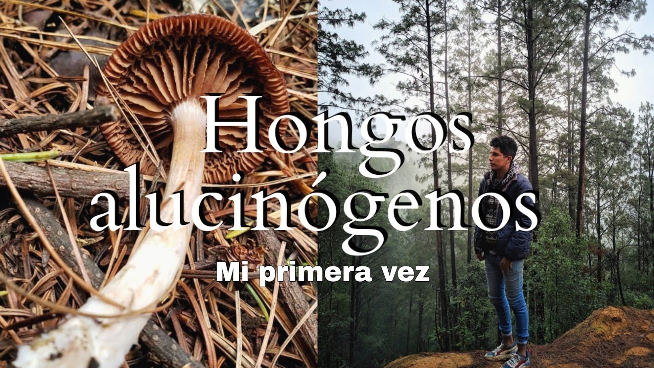 Consumi por 1era vez HONGOS ALUCINÓGENOS, esto PASO 🍄📍SAN MIGUEL SUCHIXTEPEC
