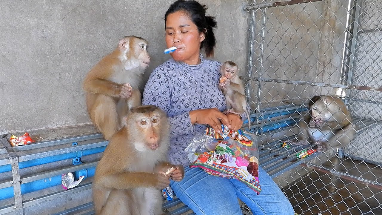 Adorable Kako Family Eating Snack Together
