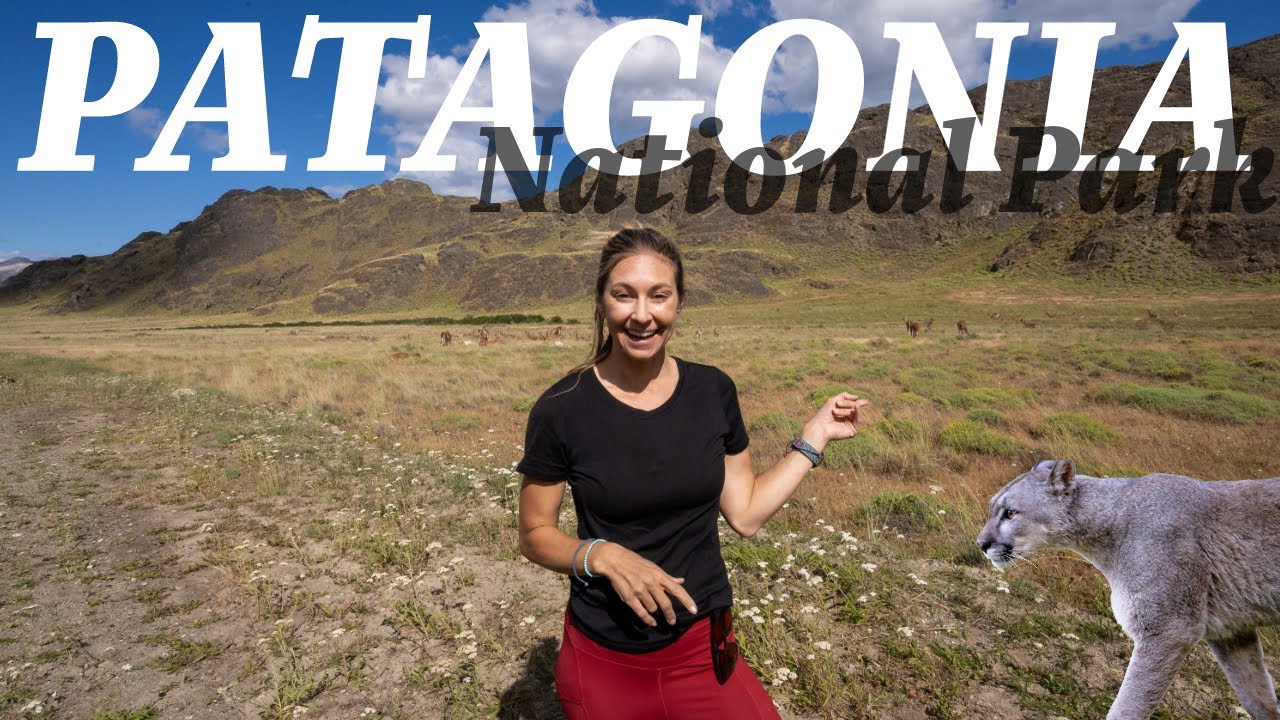 Patagonia National Park - An epic Adventure at Explora Lodge!