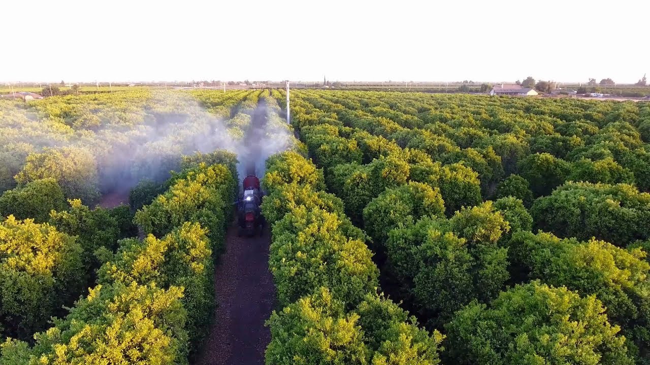 The EPA isn't taking its own advice on a pesticide that causes brain damage in children