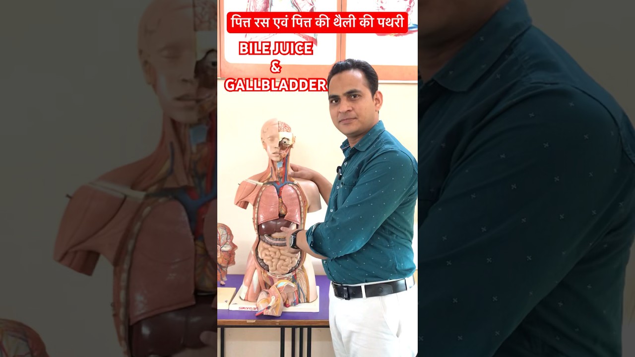 Bile Juice & Gallbladder Stone | पित्त रस एवं पित्त की थैली की पथरी #viral #shorts