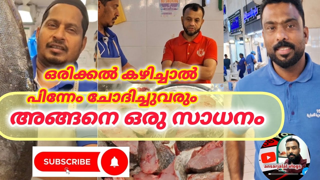 BlackSpotted Croaker Fish Cutting |Saudi Dammam Toyota Fish Market|കോരമീൻ #ansarjalal #dammam #fish 