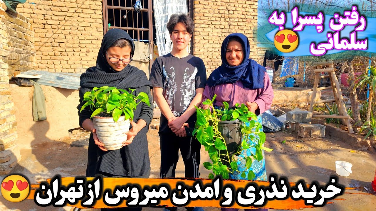 خرید نذری شما 🤔بالاخره مامان لیلا گل هارو مرتب کرد 🪴🤩 آمدن میروس جان از تهران 😍رفتن پسرا به سلمانی 😍