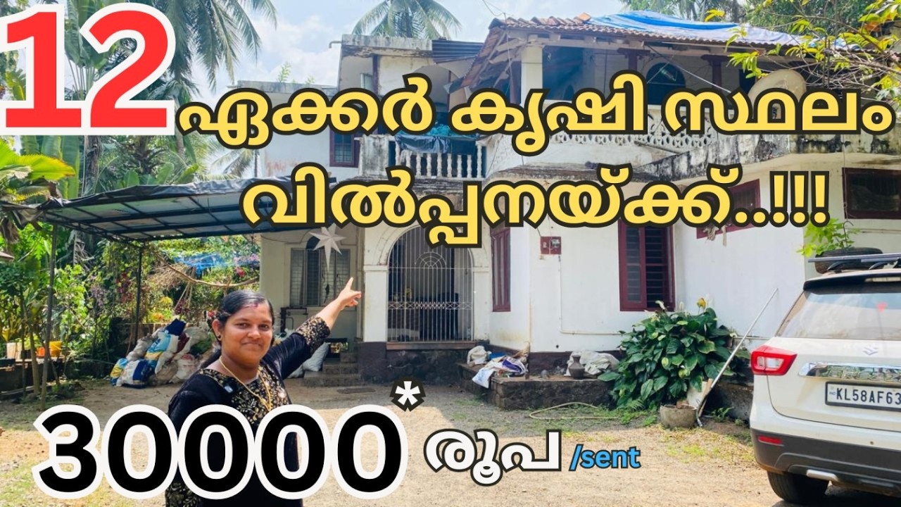 910: കിടിലൻ ഓഫർ....  12 ഏക്കർ കൃഷി സ്ഥലം വിൽപ്പനയ്ക്ക്..   (30000*രൂപ)
