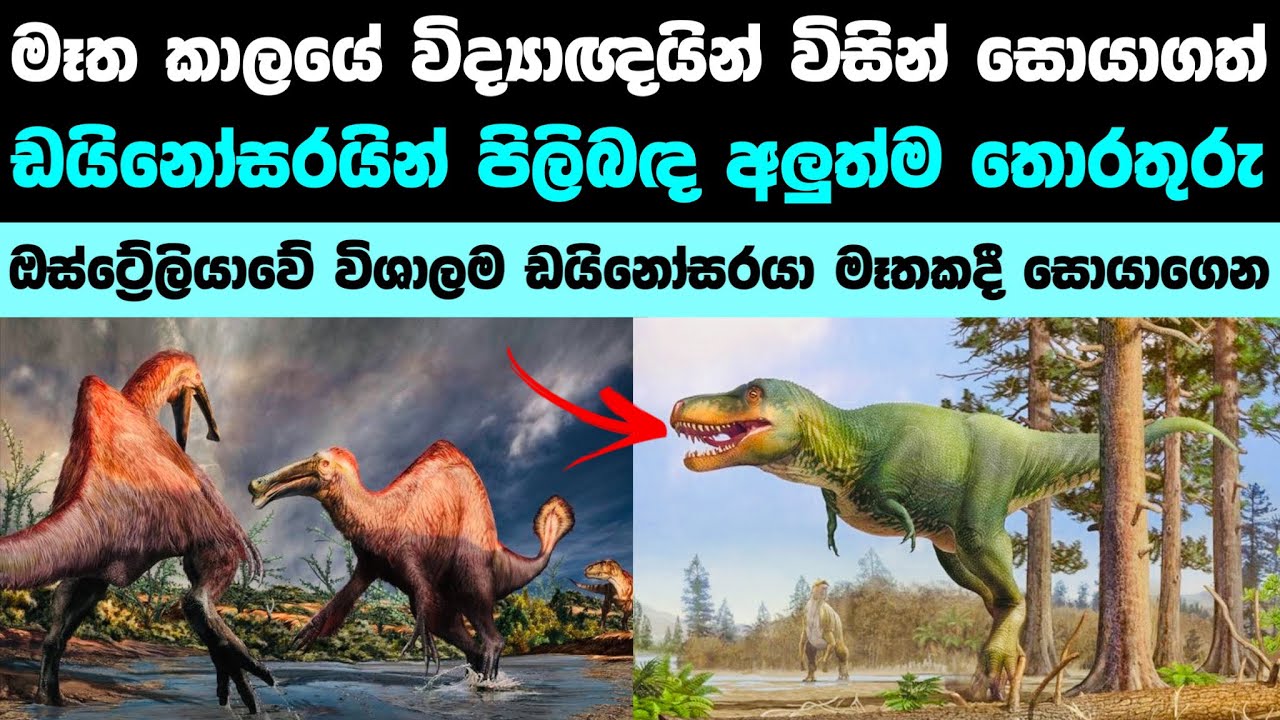 2022 ඩයිනෝසරයින් පිලිබඳ අලුත් තොරතුරු 10ක් | Most incredible recent discoveries about dinosaurs