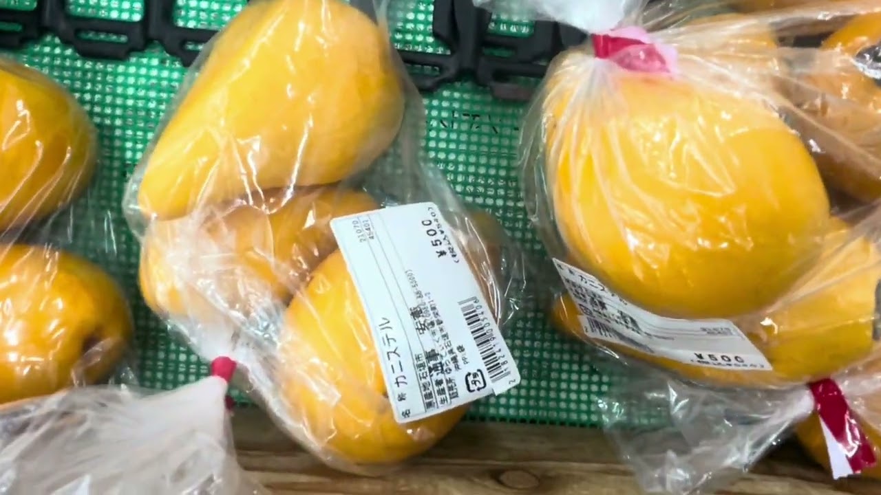 ＂煩悩三昧❤️＂石垣島を散々散歩２〜神と仏に出逢う島〜