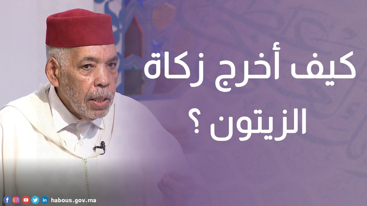 كيف أخرج زكاة الزيتون