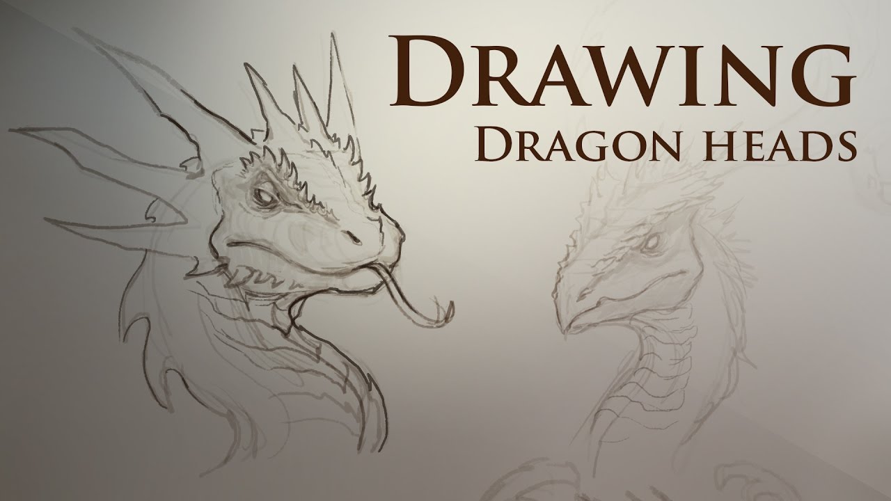 Drawing dragon heads