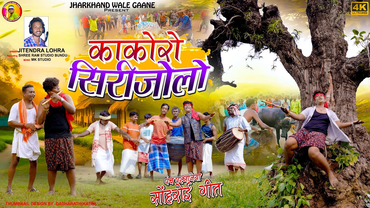 काकोरो सिरिजोलो | सोहराई गीत | AJAY MUNDA | पांचपरगनियां सोहराई GEET