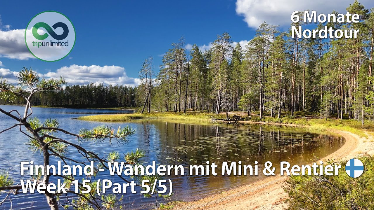 Spaziergang mit Katze und Rentier | Ein toller Tag im Hossa Nationalpark in Finnland Woche 15 (5/5)