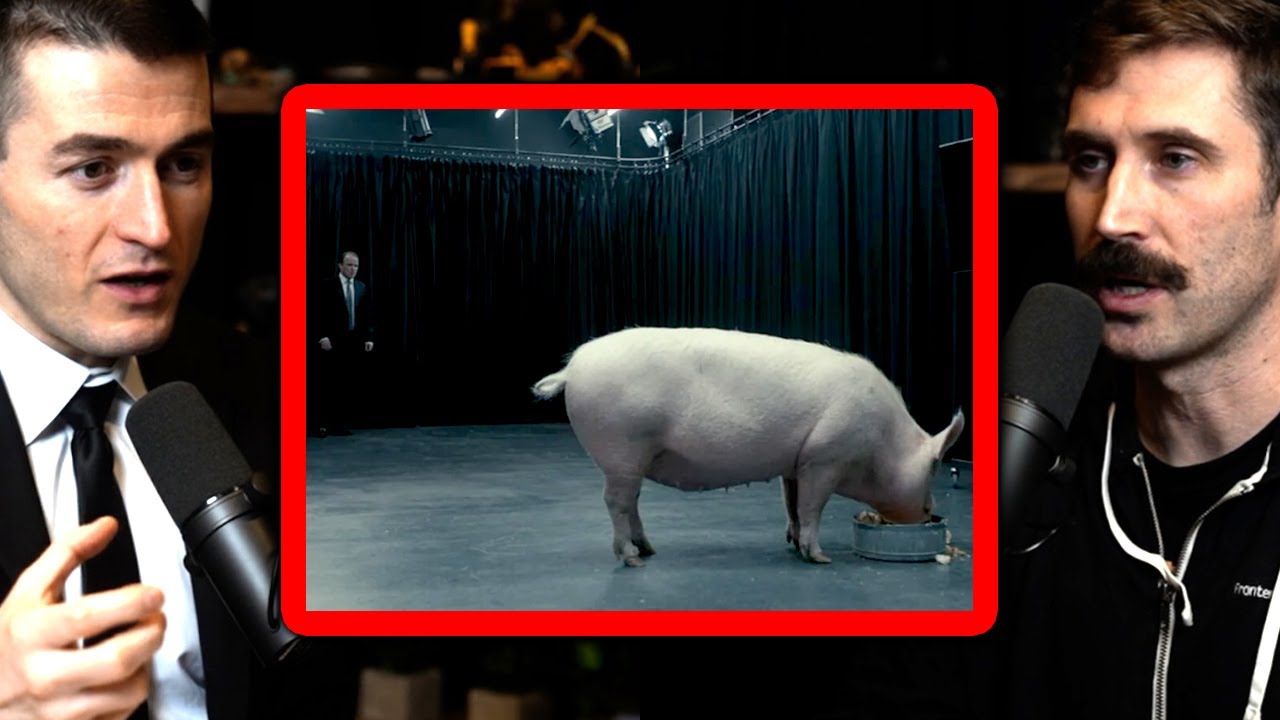 How Black Mirror's Pig F*cker episode required re-engineering Netflix | ThePrimeagen and Lex Fridman