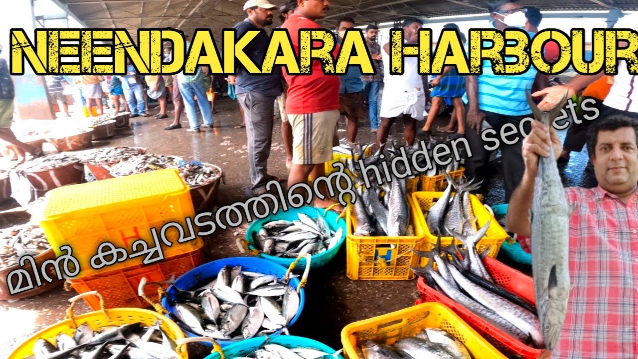 Neendakara harbour Big sale for Fish