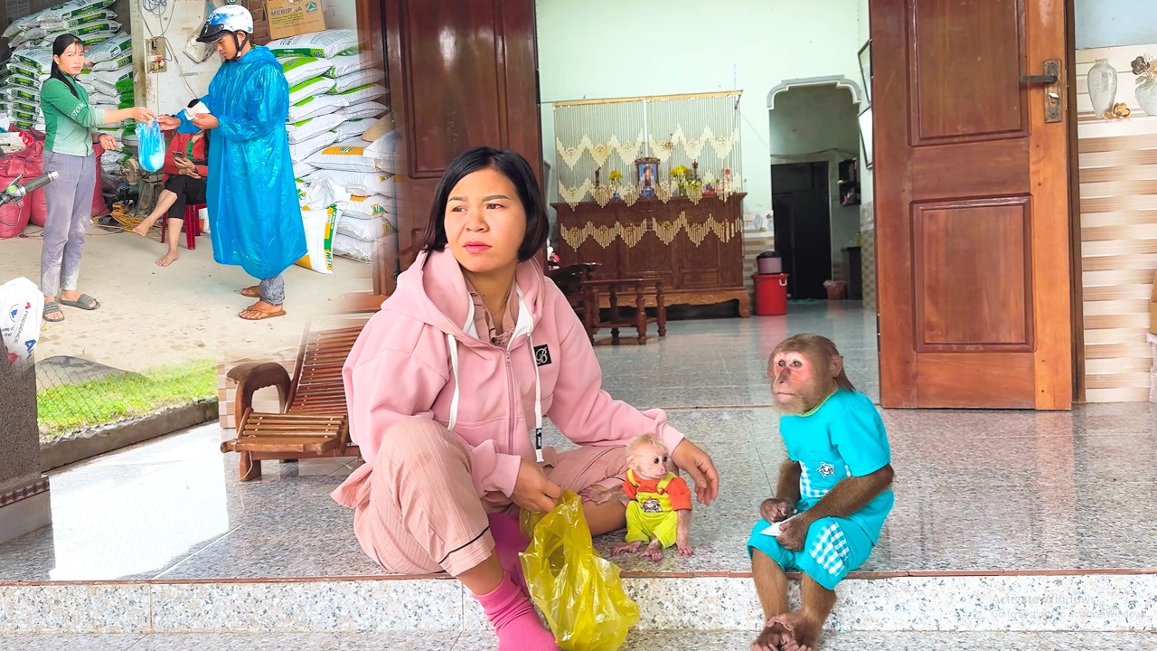 Too Funny! CUTIS’ Reaction When Mom Says No Because of Rain
