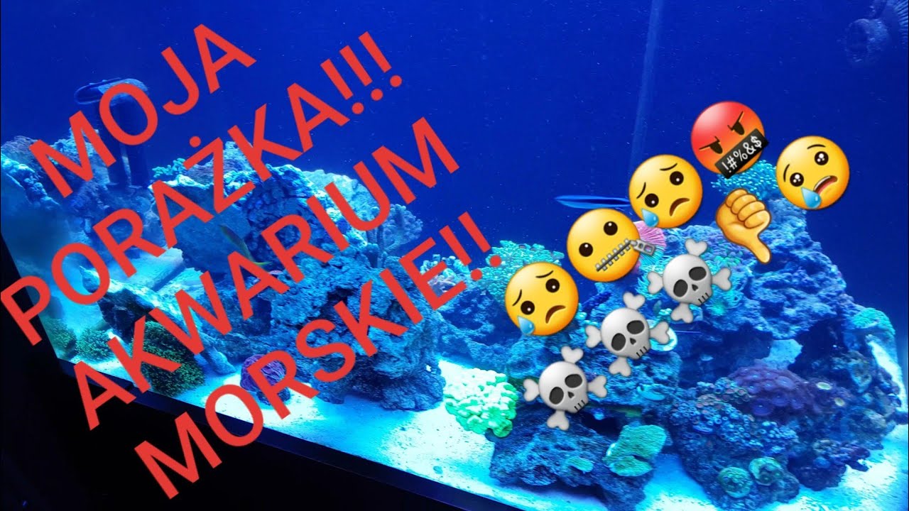 Jak wykończyłem obsadę na własne życzenie 😥😮🤐 Akwarium morskie 300
