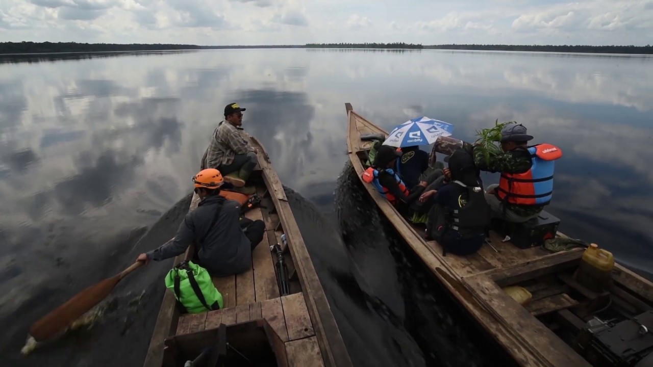 Ekspedisi Taman Nasional Zamrud Mapala Silvagama - Asa di Bumi Siak
