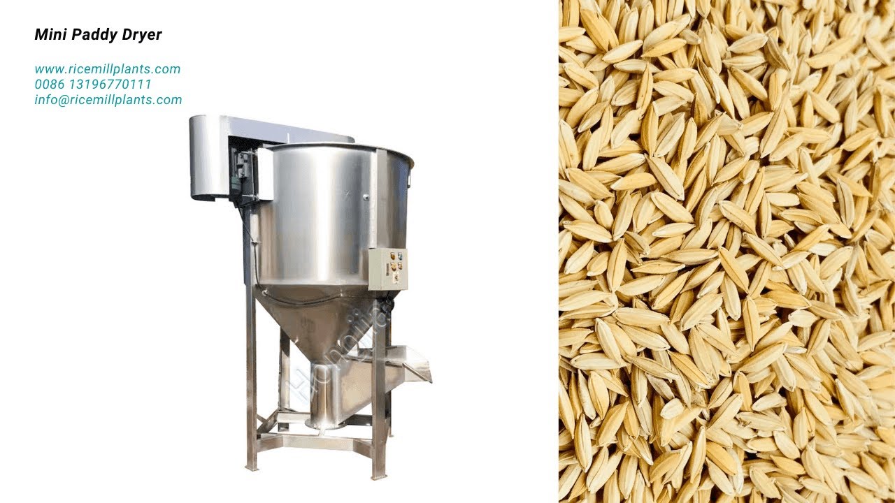 Small Paddy Dryer | Grain Dryer for Sale - Co-Grain Rice Mill #graindrying #paddydryer