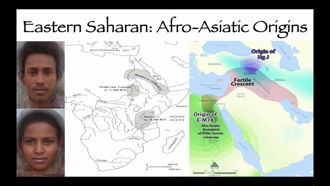 Eastern Sahara Origins of Proto-Afro-Asiatic
