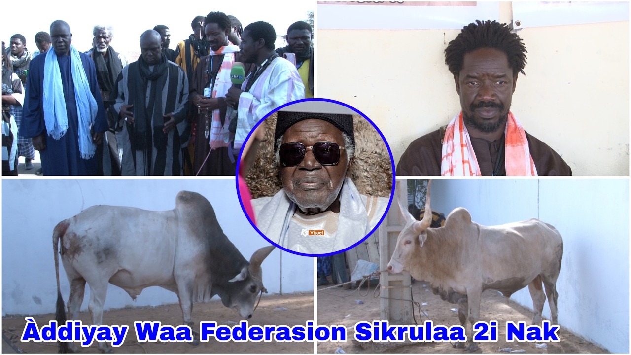 Jébbale Àddiyay Waa Daahira Federasion Sikrulaa nasonal ak enternasonaal Ci Liggéeyu Ndogu Yi 2 Nak