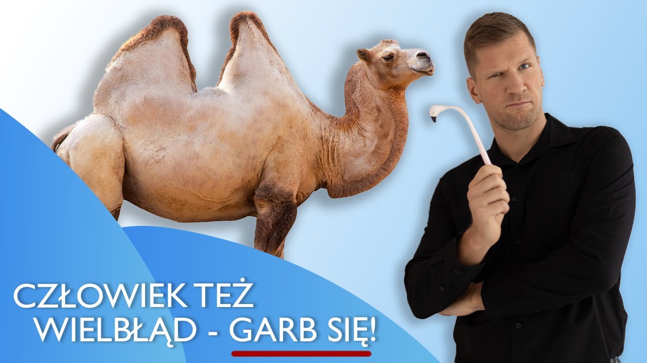 POSTAWA CIAŁA - FAKTY I MITY. DLACZEGO GARBIENIE SIĘ CZASEM JEST ZDROWE?