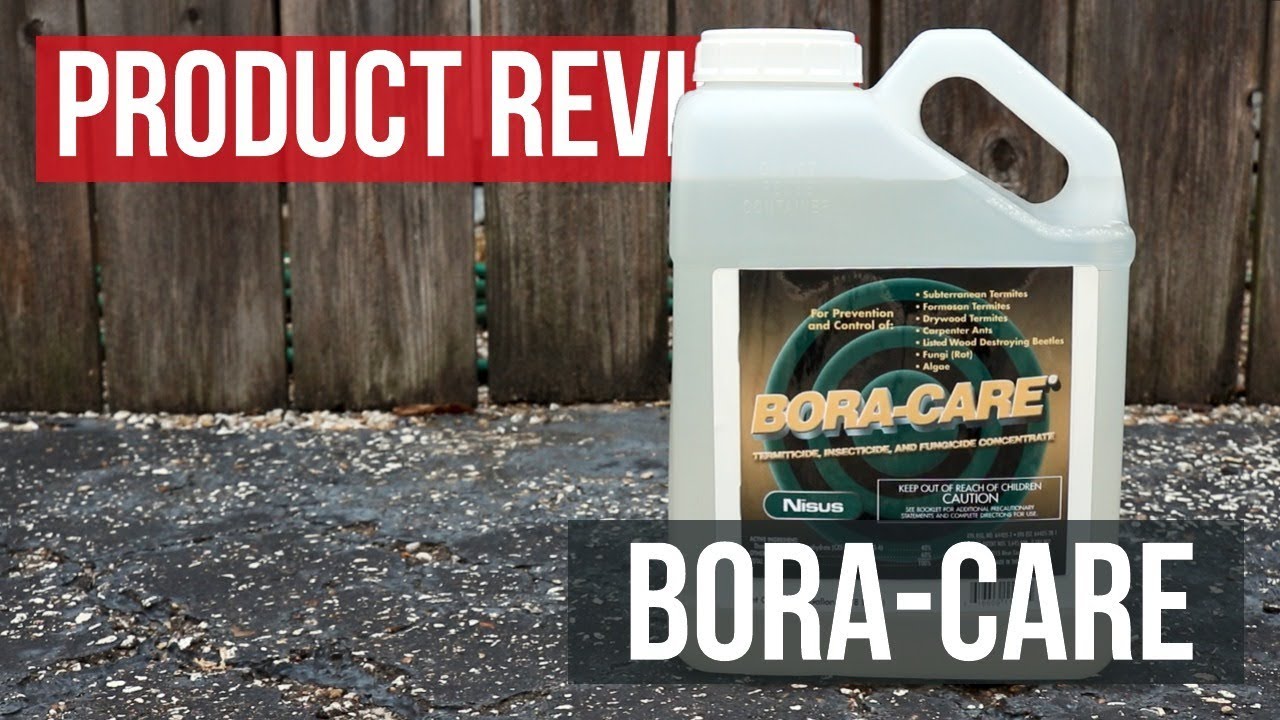 BoraCare: Product Review