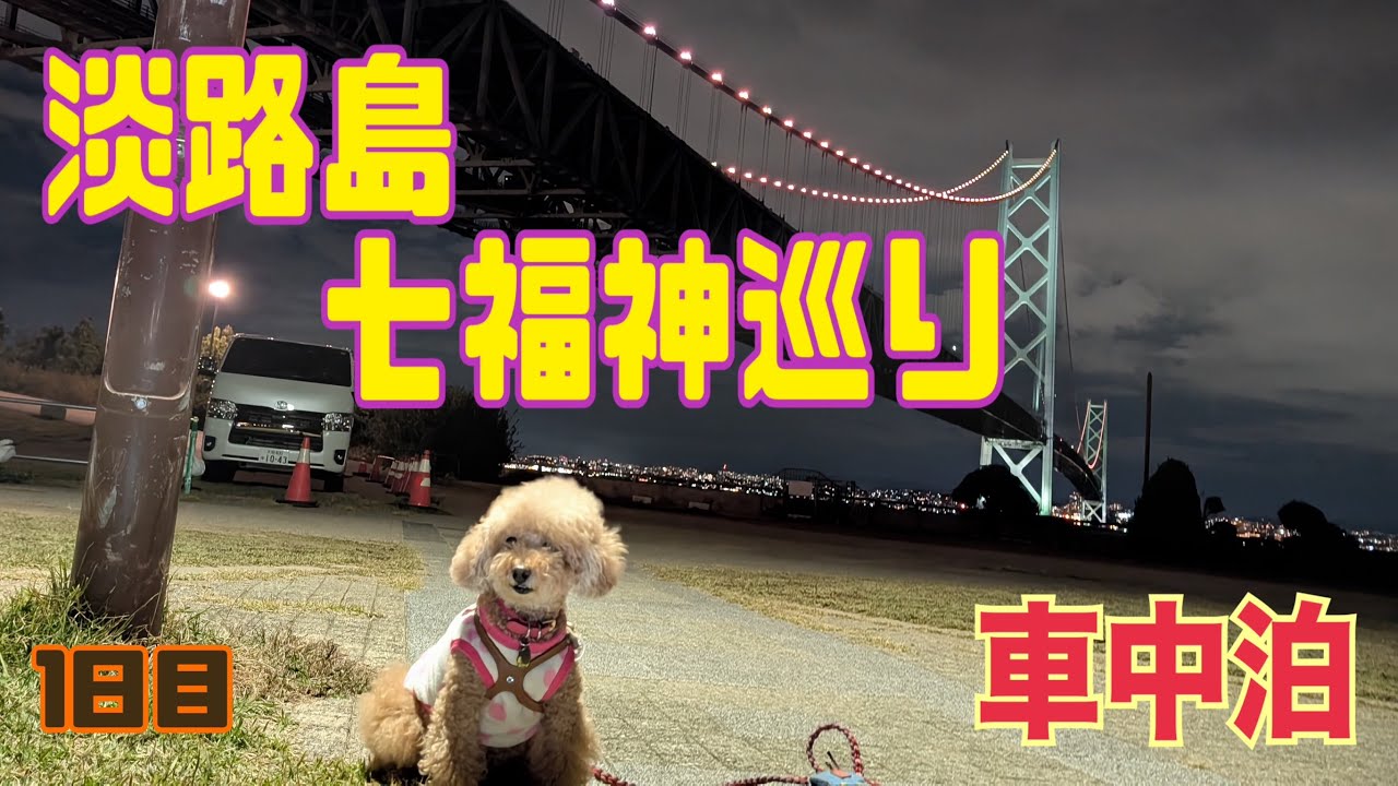 淡路島七福神めぐり01　#トイプードル #おパンツカット #車中泊#七福神めぐり