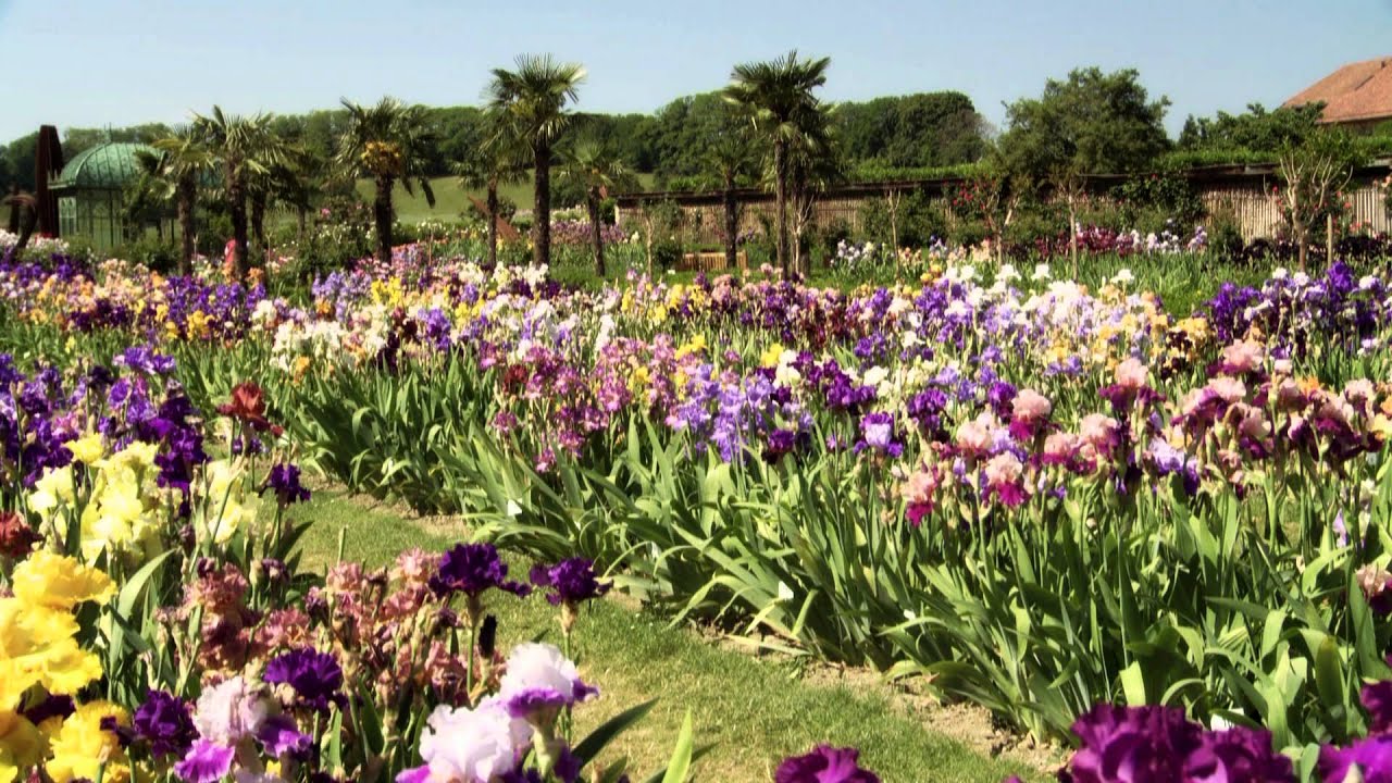 Présentation des Jardins du Château de Vullierens