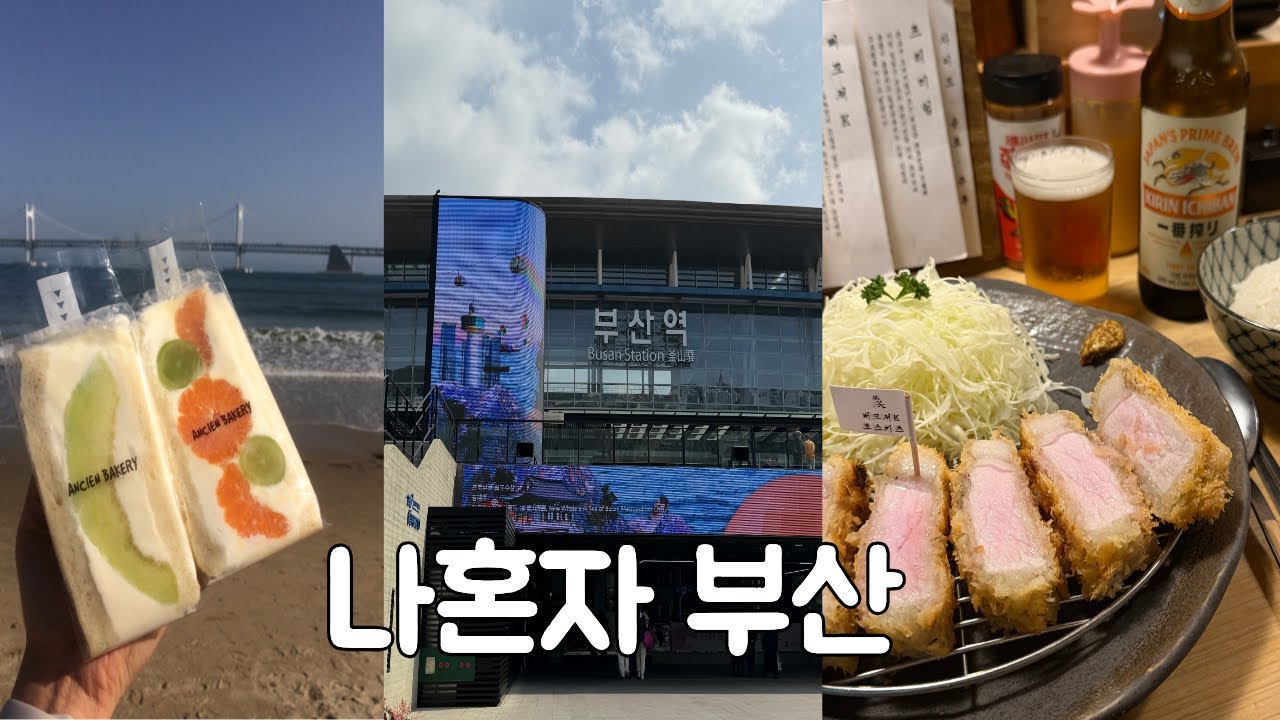 나혼자 부산여행 | 실패없는 맛집 추천(바오하우스,톤쇼우), 카페투어, 부산소품샵추천