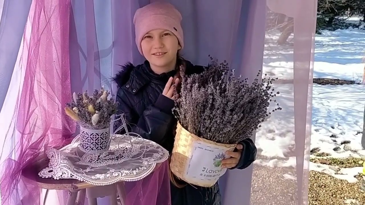 Отличная семейная поездка! Фестиваль Хвастовня в парке  имени Букреева п. Гончарка. 27 января 2024.