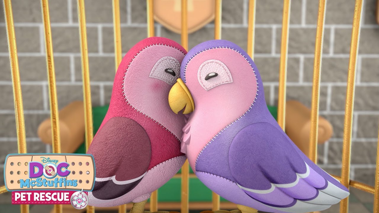 Birdies of a Feather | Doc McStuffins Pet Rescue | Disney Junior