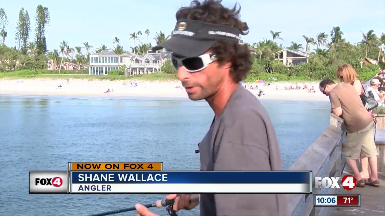 Fishing ban takes effect on Naples Pier