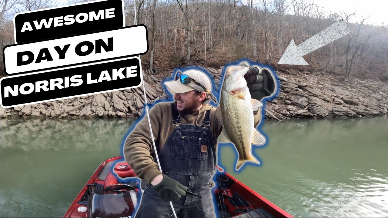 Bass fishing Norris lake middle of February!