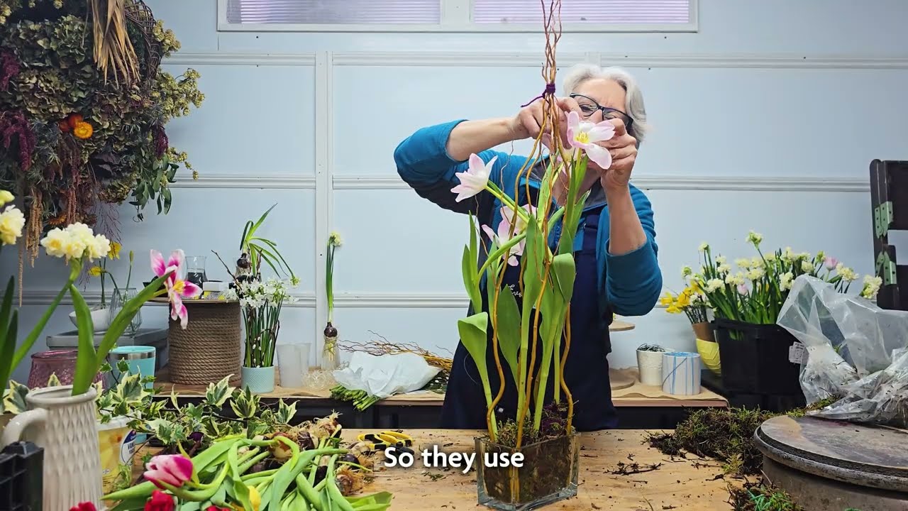 Living Vase | Tulips on the Bulb | Discovery Day