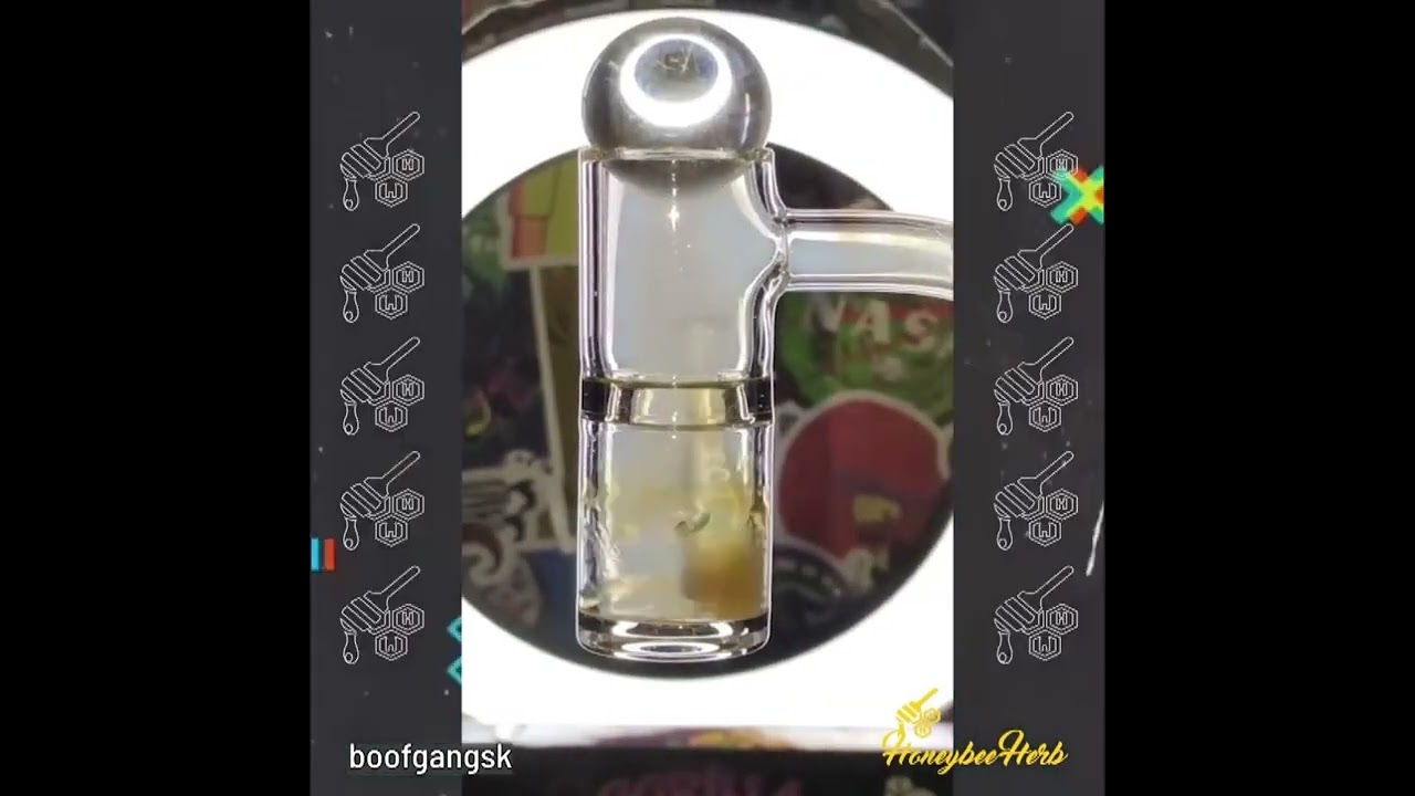 Yellow Line Honey Well Quartz Nail Meltshots #quartzbanger #honeybeeherb