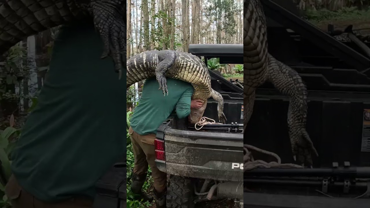 14 Days Hunting, Fishing & Crabbing Florida    #hunting #fishing #florida #adventure