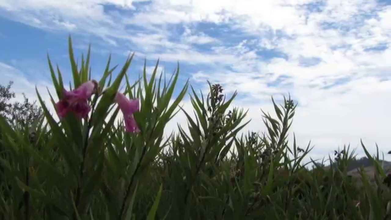 슬픈 계절에 만나요-백영규