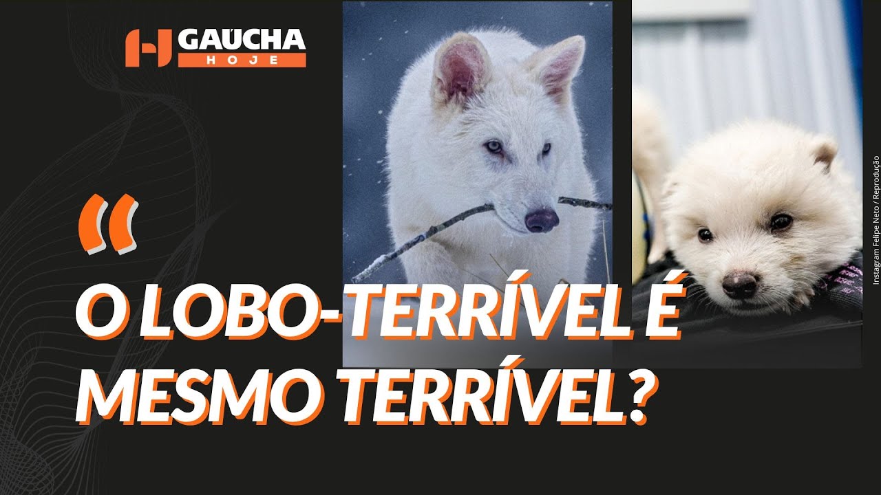 POLÊMICA: após 10 mil anos, LOBO-TERRÍVEL é trazido de volta da extinção | Gaúcha Hoje