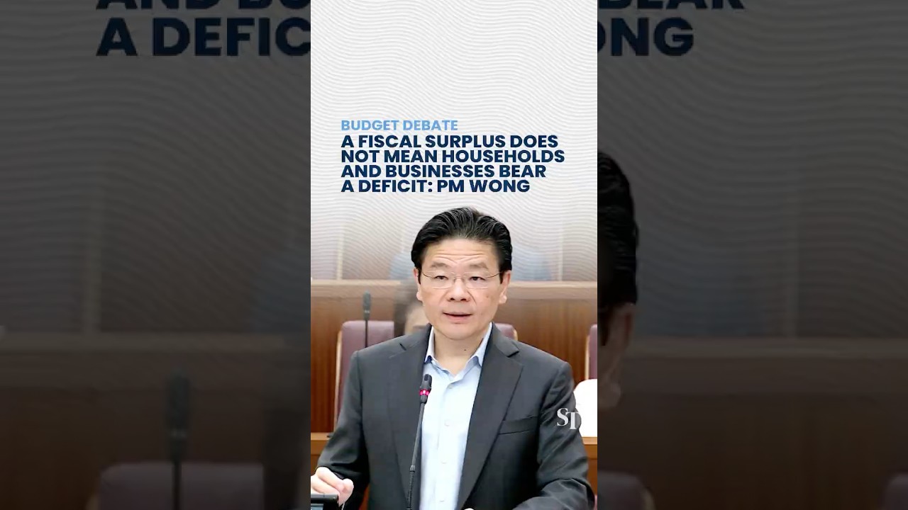 A fiscal surplus does not mean households and businesses bear a deficit: PM Wong