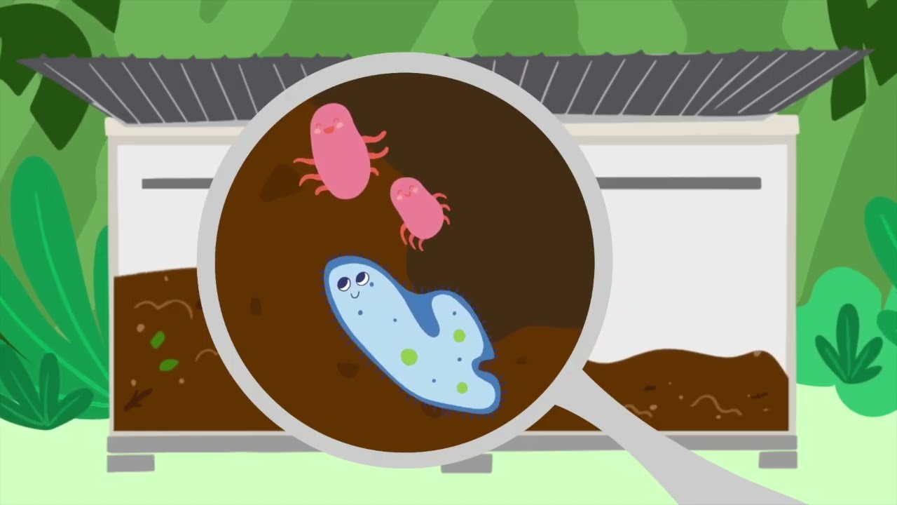 From Waste to Life: How can compost machines help Hawaiʻi