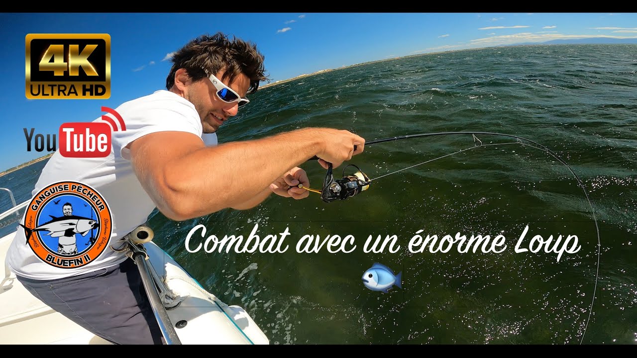 Combat avec un énorme Loup 🐟  !