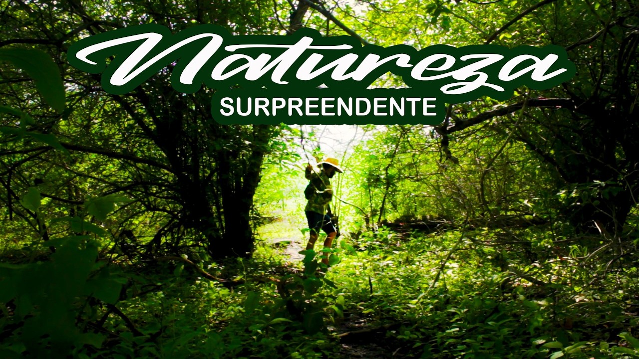 Sinal de fartura
